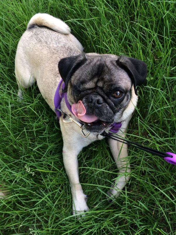 /Images/uploads/Humane Society of Utah/HSUCalendar/entries/1214thumb.jpg
